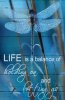 Dragonfly-life-is-a-balance-of-holding-on-and-letting-go-poster~2.jpg