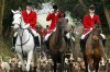 Fox-Hunting-1_Luke-Macgregor-1024x683.jpg