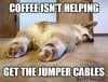 animal-coffeeisnt-helping-get-jumpercables-baxterboocom.jpeg